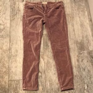 Free People Crop Fitted Pants